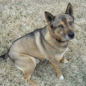 Meet your Posher, Lori